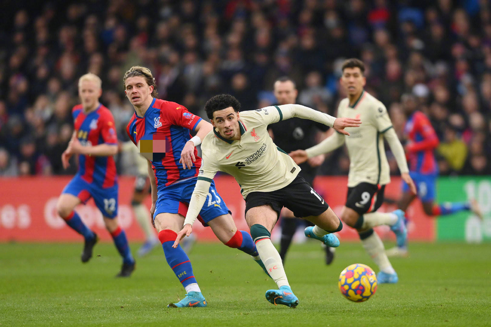 并适时引入 并适时引入